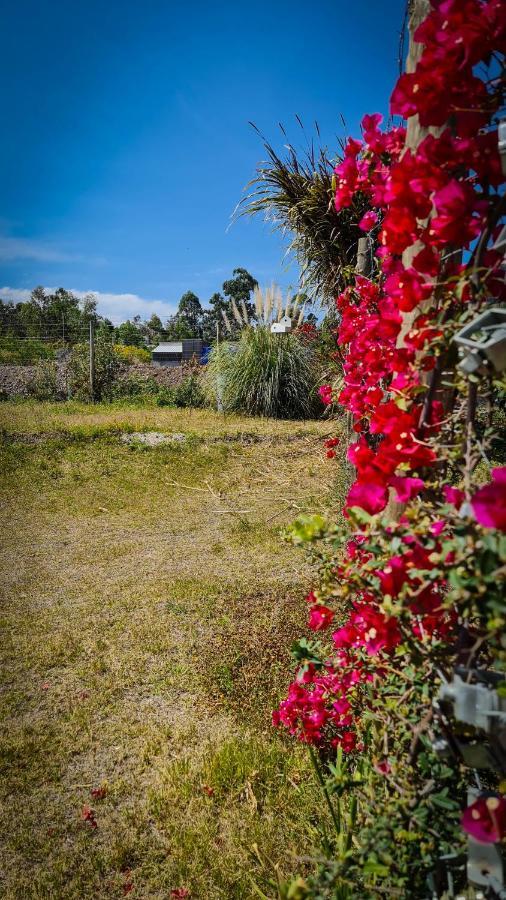 Holiday home Casa D, Moderna De 2 Con Jardin En Barrio De Profesionales
